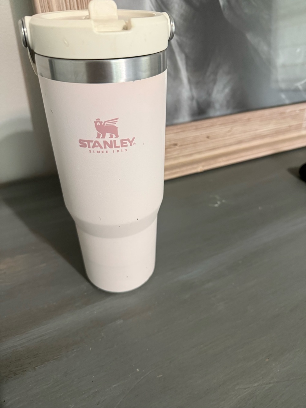 Stanley 30 Oz Tumbler
